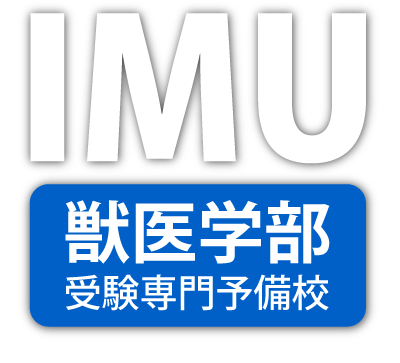 IMU